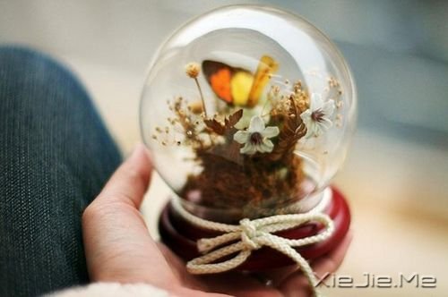 晚安心语:别对生活要求太多,生活才会充满惊喜 (2)