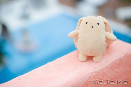 早安心语:看清自己比读懂他人更重要 (9)