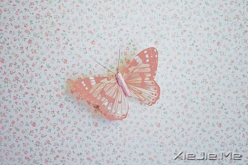 晚安心语:不要为旧的悲伤,浪费新的眼泪 (1)