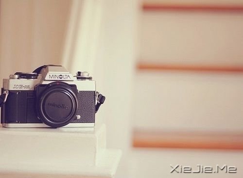 晚安心语:放下那些不能帮助你前行的过去 (6)