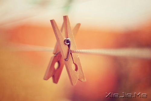 华丽的跌倒,胜过无谓的徘徊 (10) 唯美图片 (10)