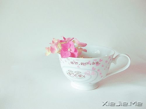 С����ͼƬ (3)