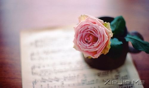 С����ͼƬ (2)