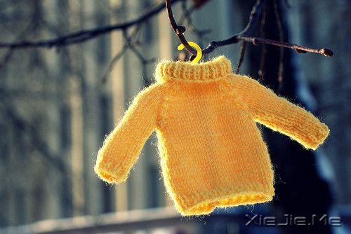 С����ͼƬ (9)