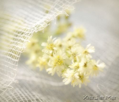 ��������Ҹ��������Ķ����Ҹ� (4)