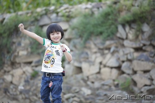 Kimi,总在意料之外,却在情理之中