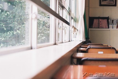 文字:现在的父母太心急了