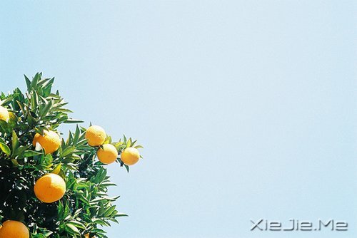 自己喜欢的日子,就是最美的日子 (3)