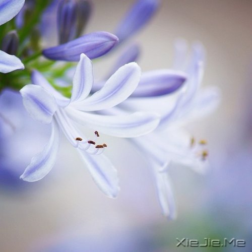 生活的九大智慧 (6)