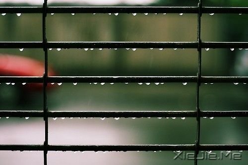 14�׹�����Ĵ������Ƽ� (2)