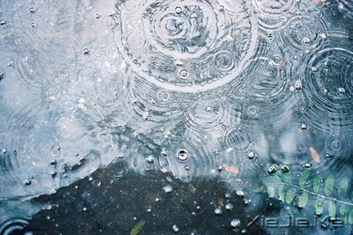 14�׹�����Ĵ������Ƽ� (9)