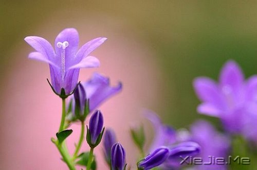 内向的性格也能成就伟大的事业