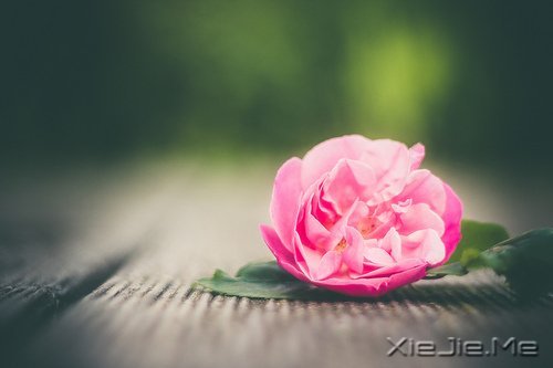 别人越快的时候,你越要慢