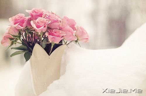 ׷�ξ�����һ�������ɣ��ܼ�ֵ��յ���������޼�