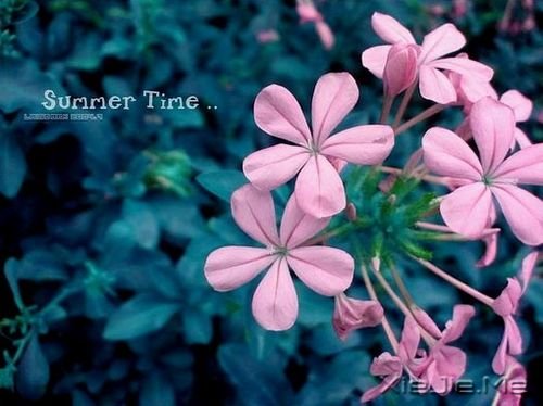 你无法“逃离”北上广