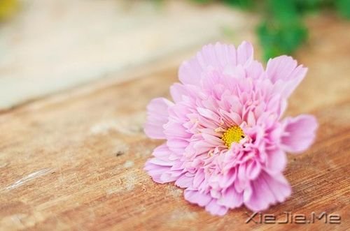 �ɾ�һ����50������̬ (1)