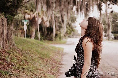 02272 (5) 我就是我,颜色不一样的烟火 (5)