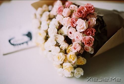 ������һ�ֵ�������� (5)