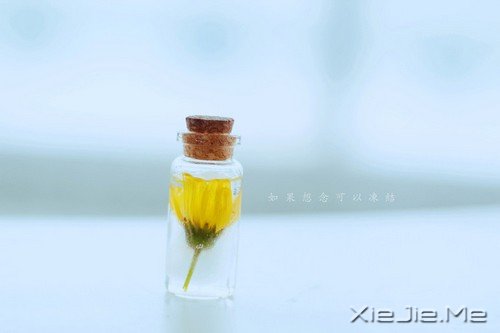 如果想念可以冻结